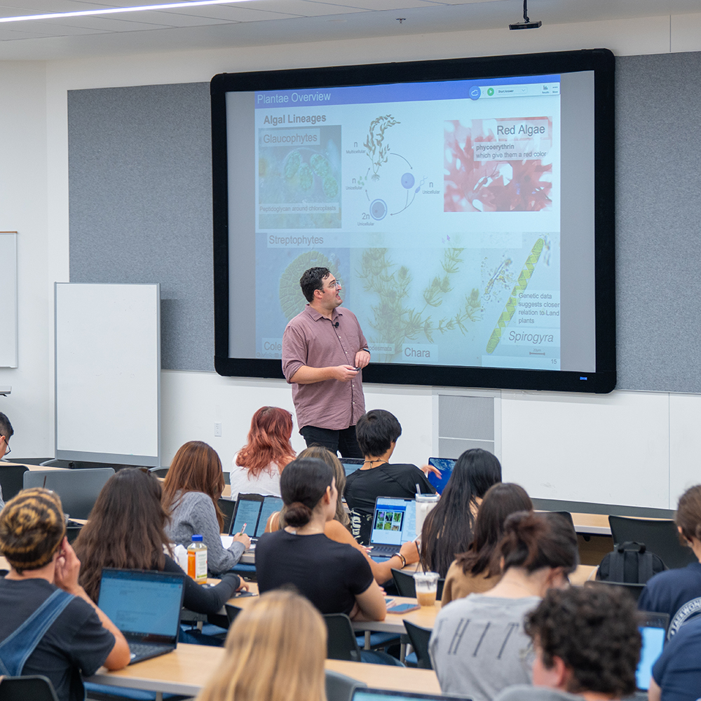 Instructor teaches about algal lineages as students watch a projected slide in a college classroom.