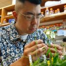 Man in glasses and blue patterned shirt examines a plant in a research lab