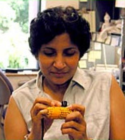 Dr. Neelima Sinha